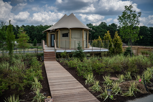 safari tents