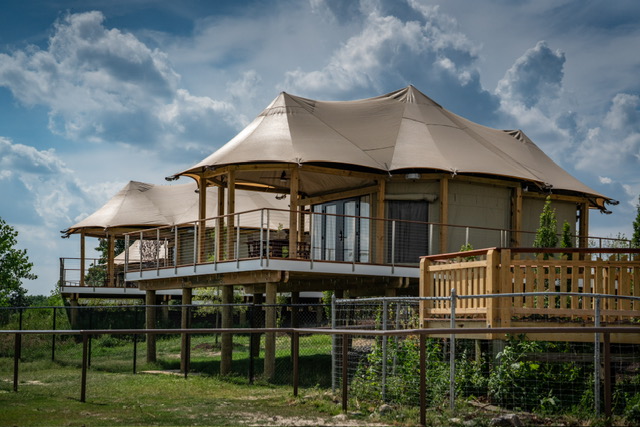 safari exterior